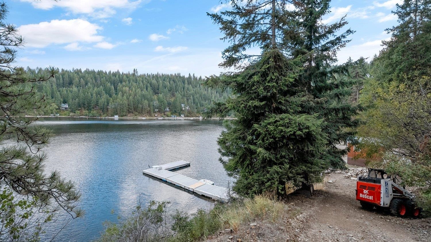 3923 East Pine Bay Road Loon Lake, WA 99148 - Photo 3 of 33