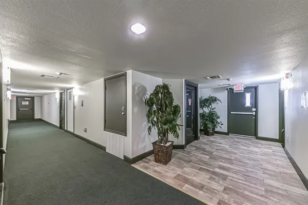 a view of a hallway with potted plants