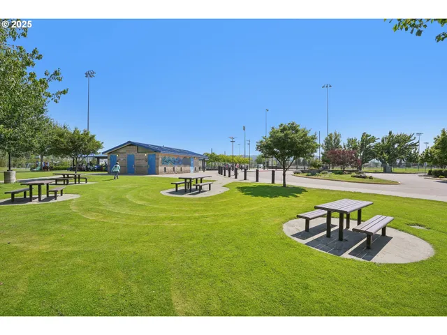 a view of a yard with plants and a bench