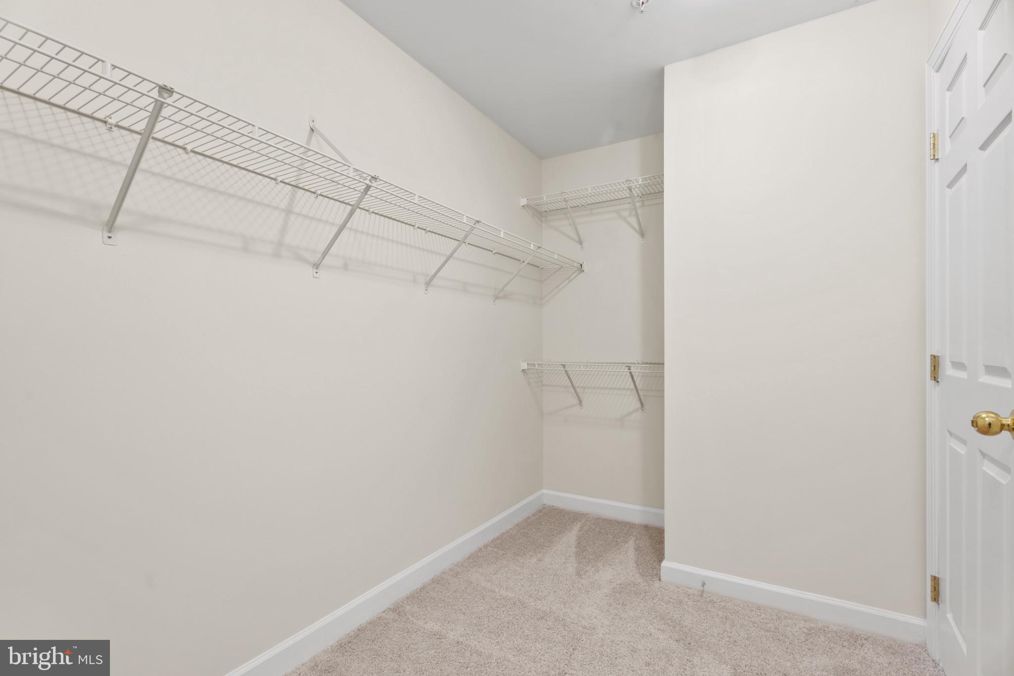 1562 Rutland Way Hanover, MD 21076 - Photo 22 of 44 Walk-in Closet