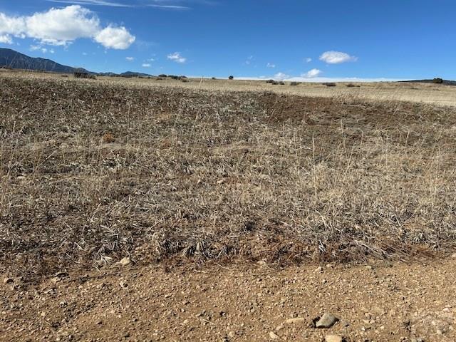 Lot 852 Lawrence Rye, CO 81069 - Photo 3 of 11