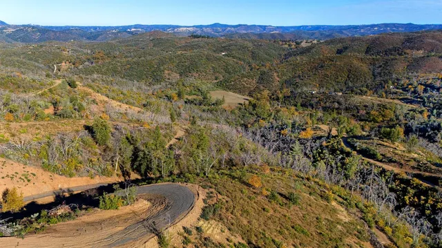 a view of a backyard with plants and a mountain view