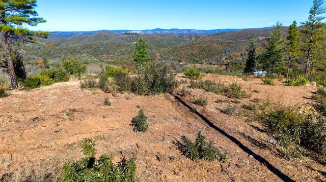 a view of a backyard of a house