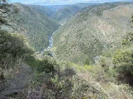 a view of a dry yard with green space and fog