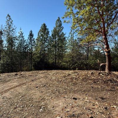 0 Spring Garden Road Foresthill, CA 95631 - Photo 4 of 14 a wooden bench with view of trees