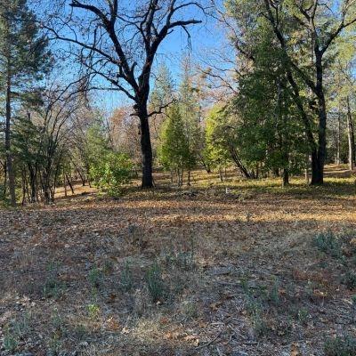0 Spring Garden Road Foresthill, CA 95631 - Photo 5 of 14 a view of outdoor space with trees