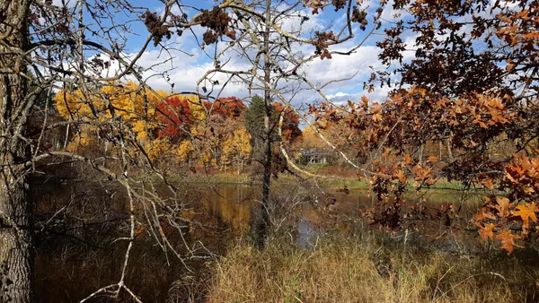 $8,500 | Xxx Oriole Court, Browerville, MN 56438