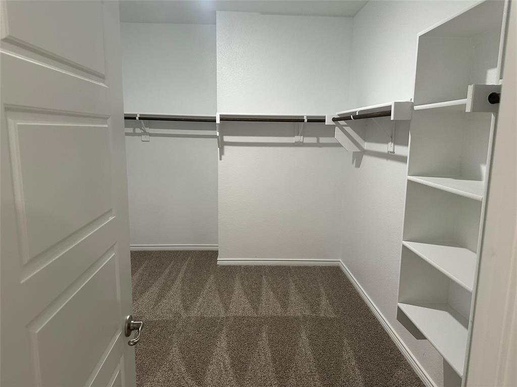 2408 Grapevine Way Celina, TX 75009 - Photo 5 of 20 Walk in closet with dark carpet