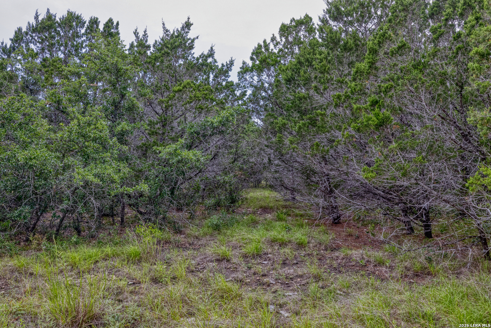 Lot 154 1796th Ranch D'Hanis, TX 78850 - Photo 4 of 18