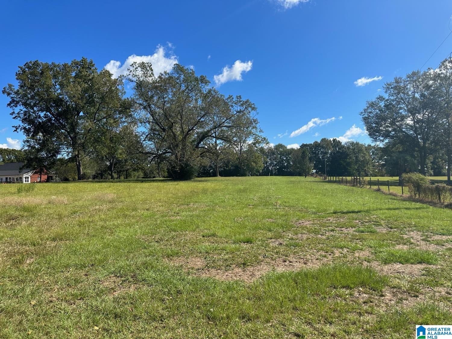 30517 Straughn School Road Andalusia, AL 36421 - Photo 3 of 6