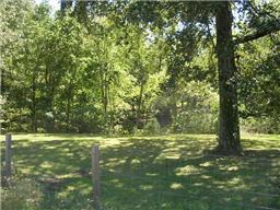 299 Knott Road Winchester, TN 37398 - Photo 3 of 20 Beautiful yard with mature trees.