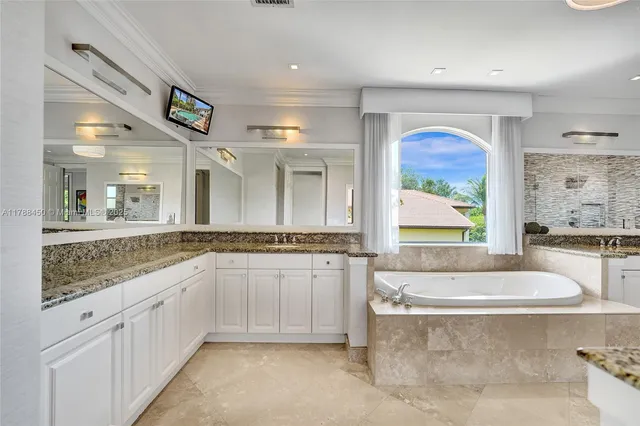 a view of a yard with plants and large trees