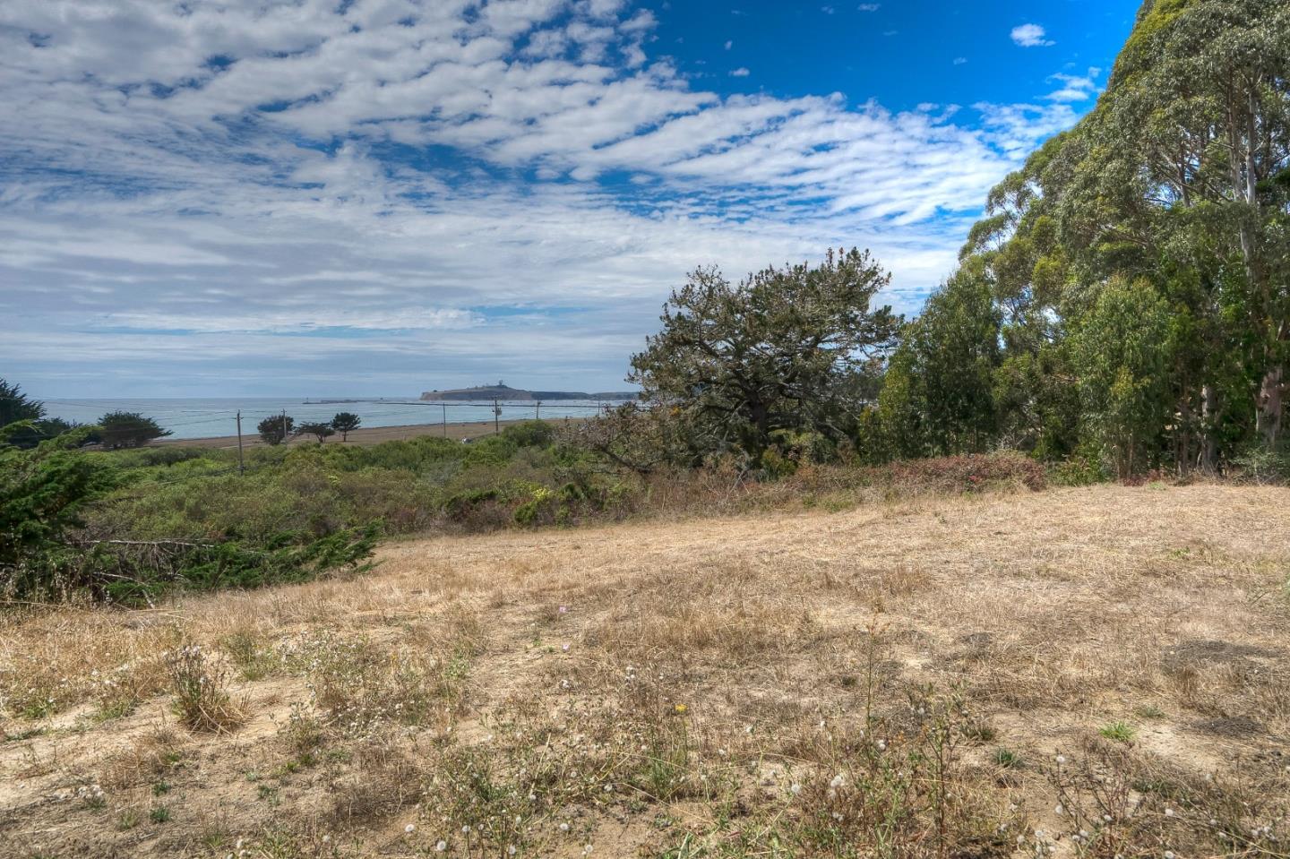 311 Magellan Avenue Half Moon Bay, CA 94019 - Photo 7 of 12 a view of a dry yard with trees