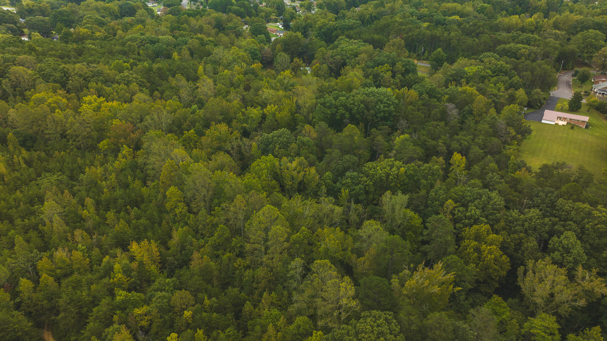 Lot 1 Martin Road Danville, VA 24541 - Photo 13 of 21 a view of a city with lush green forest
