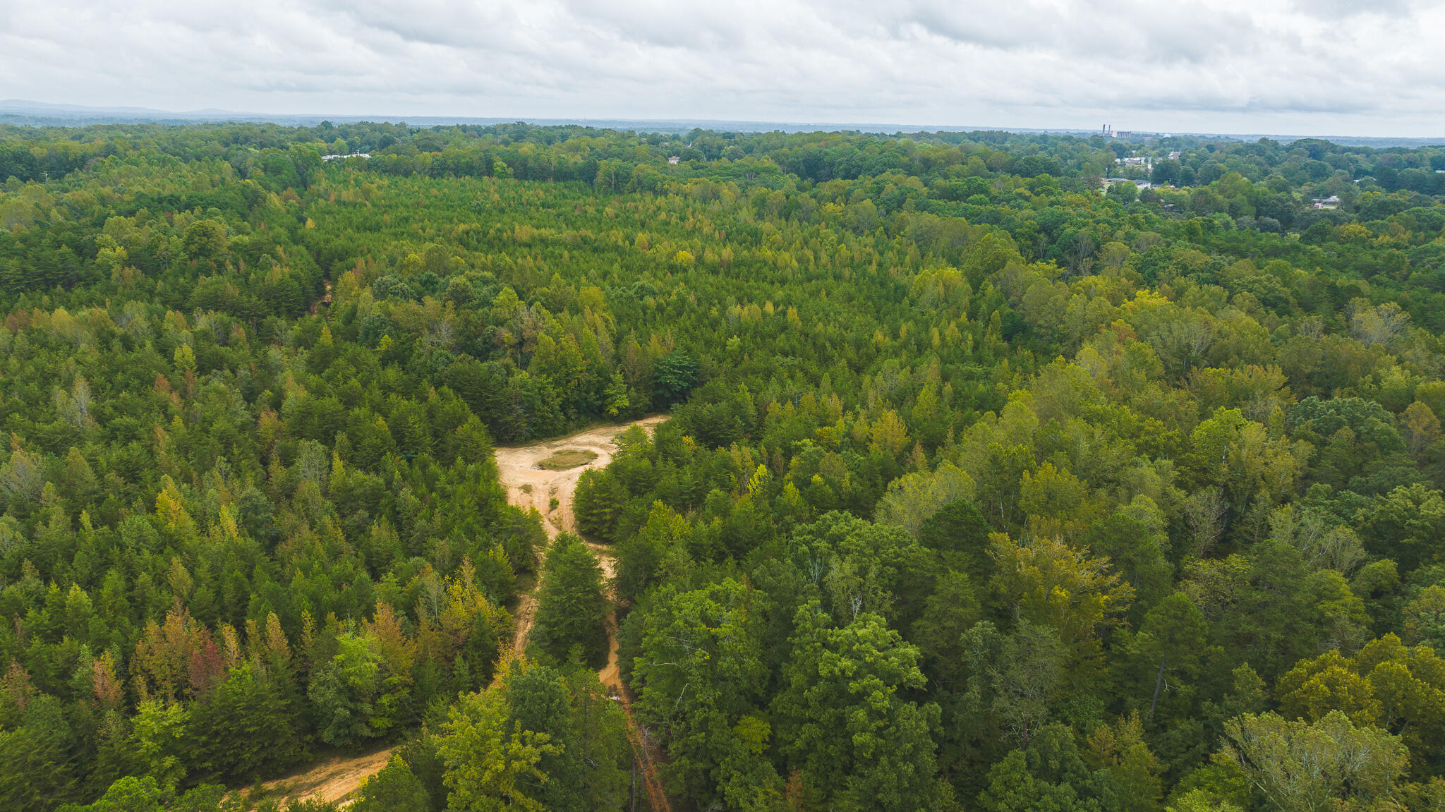 Lot 1 Martin Road Danville, VA 24541 - Photo 15 of 21 a view of a lush green forest with lots of trees