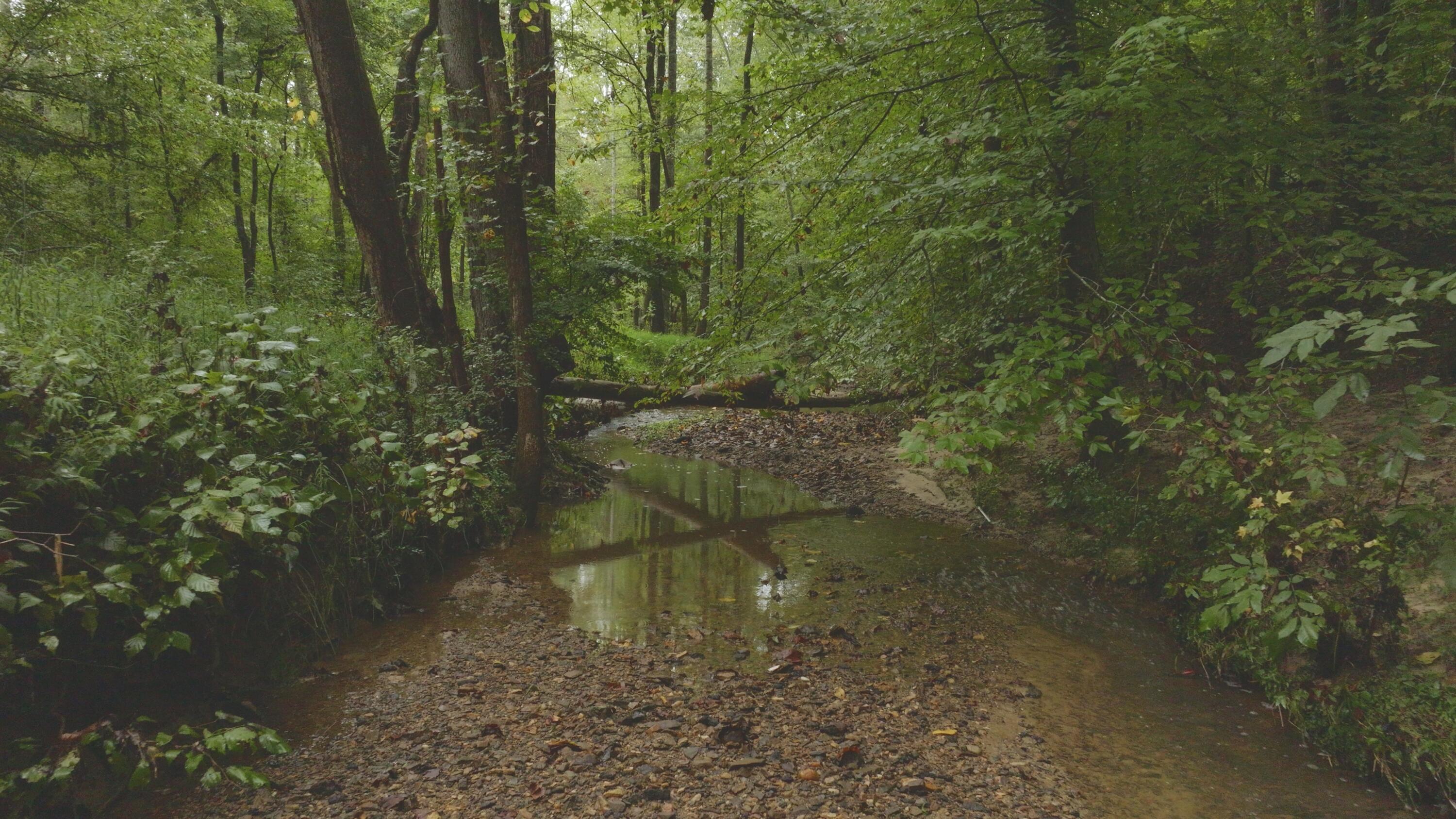 Lot 1 Martin Road Danville, VA 24541 - Photo 17 of 21 a view of a lake with a yard