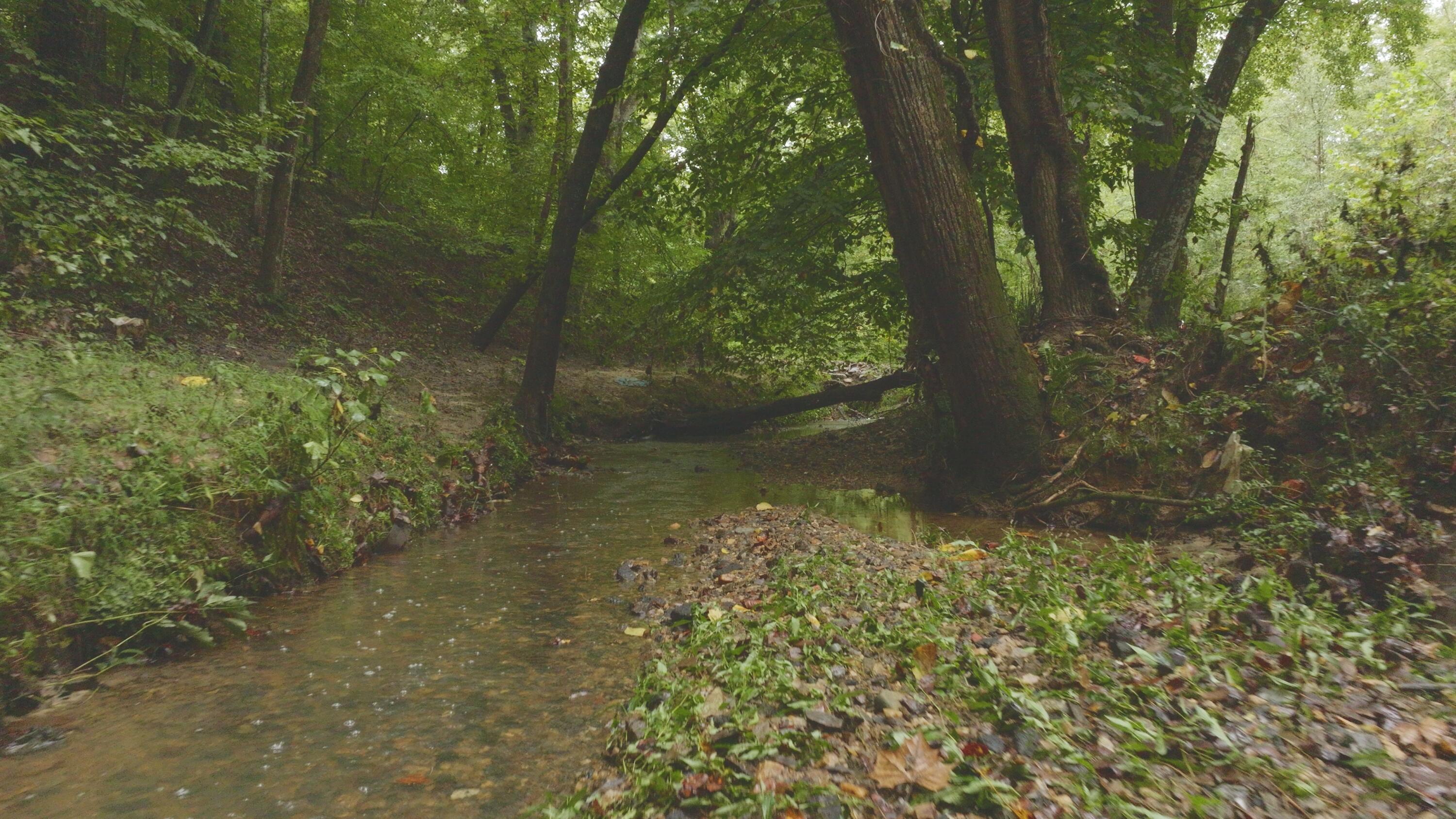 Lot 1 Martin Road Danville, VA 24541 - Photo 18 of 21 a view of lake with green space