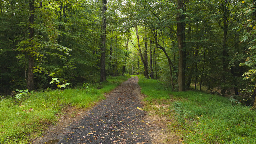 Lot 1 Martin Road Danville, VA 24541 - Photo 2 of 21 a view of a trees with a yard