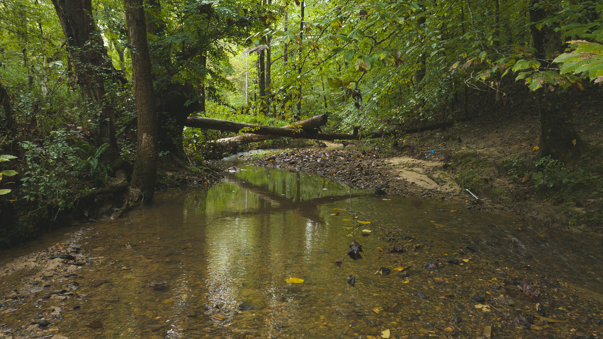 Lot 1 Martin Road Danville, VA 24541 - Photo 3 of 21 a view of a lake view