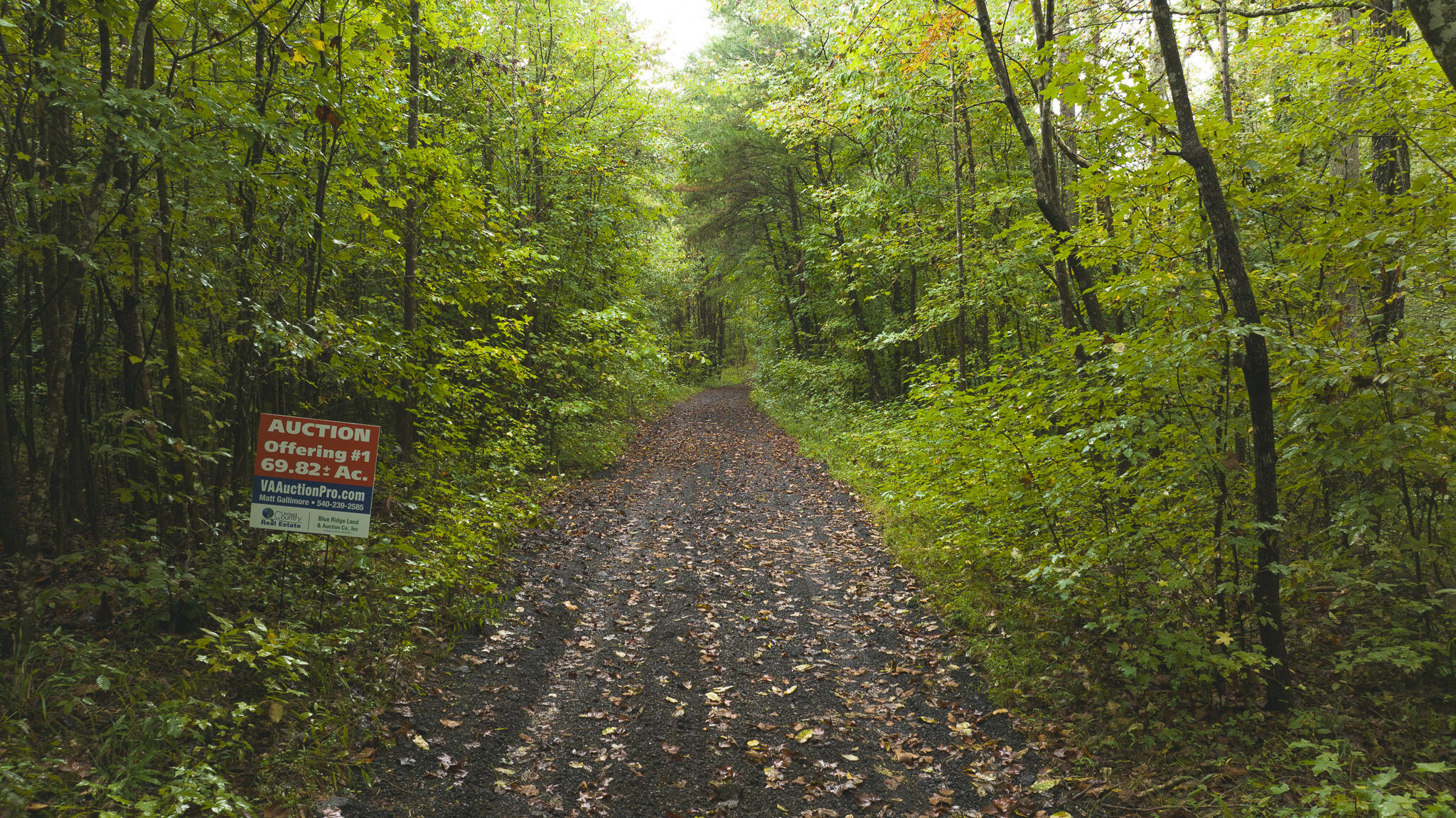 Lot 1 Martin Road Danville, VA 24541 - Photo 9 of 21 a view of a yard with plants