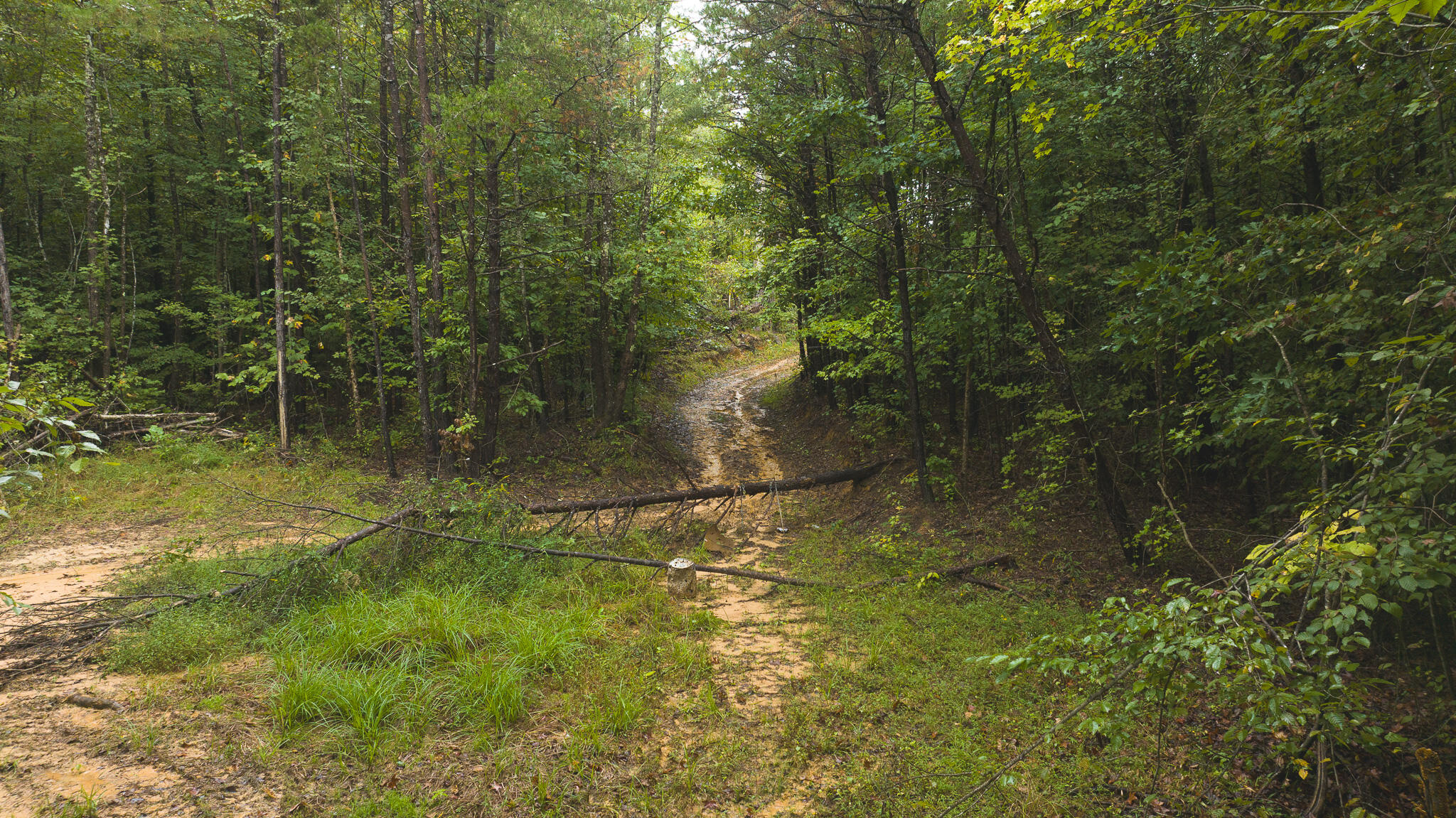 Lot 1 Martin Road Danville, VA 24541 - Photo 10 of 21 a view of a lake with a yard