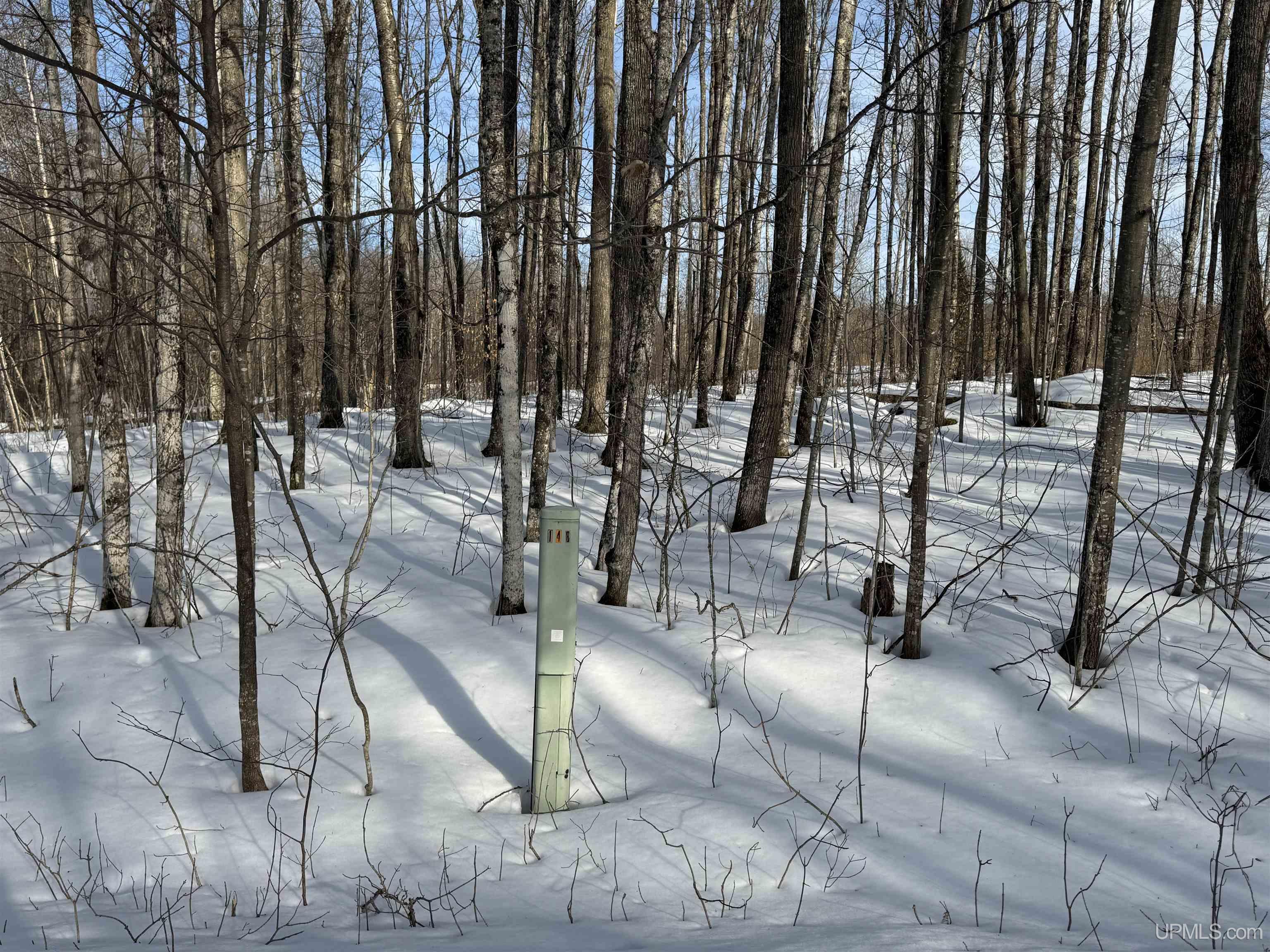 Lot 64 Little Deer Road Iron River, MI 49935 - Photo 3 of 5
