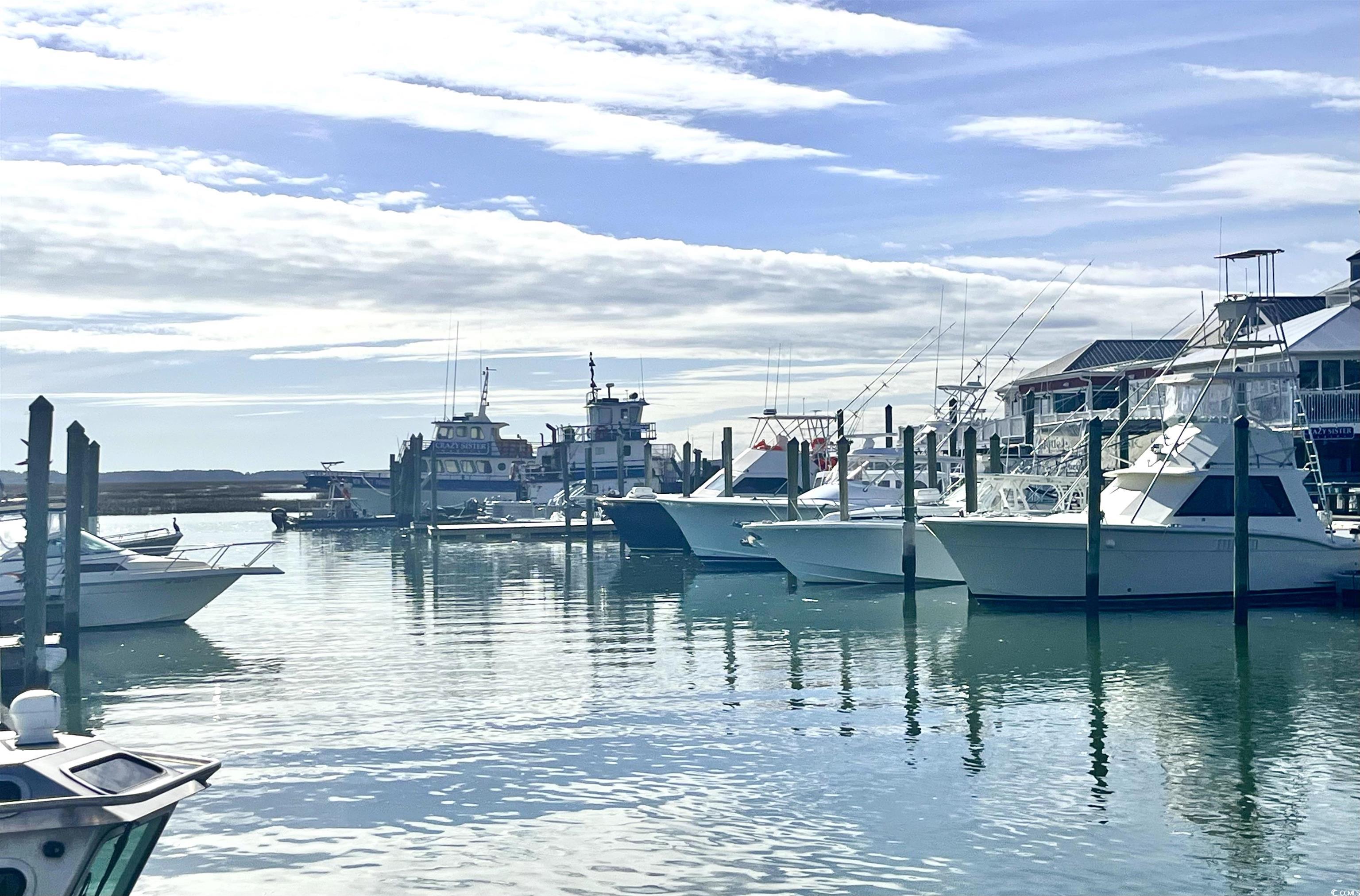 81 Delray Drive, Unit 2C Murrells Inlet, SC 29576 - Photo 29 of 34