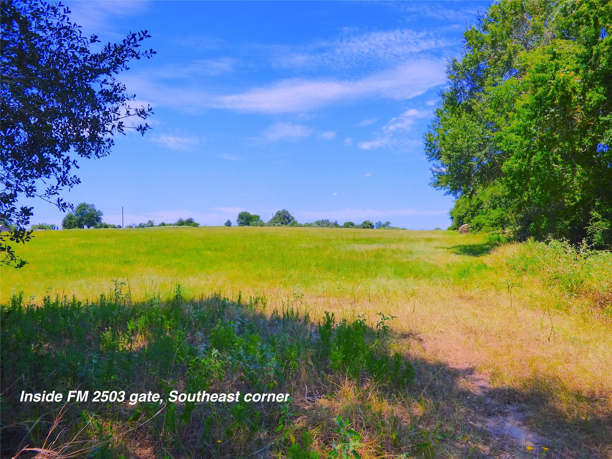 2503 Rd Fayetteville Tx 78940 Road Fayetteville, TX 78940 - Photo 3 of 9 a view of an ocean and beach