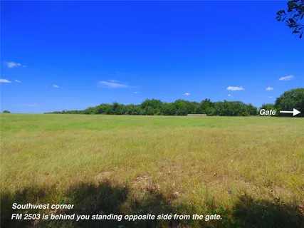 a view of a lake with a building in the background