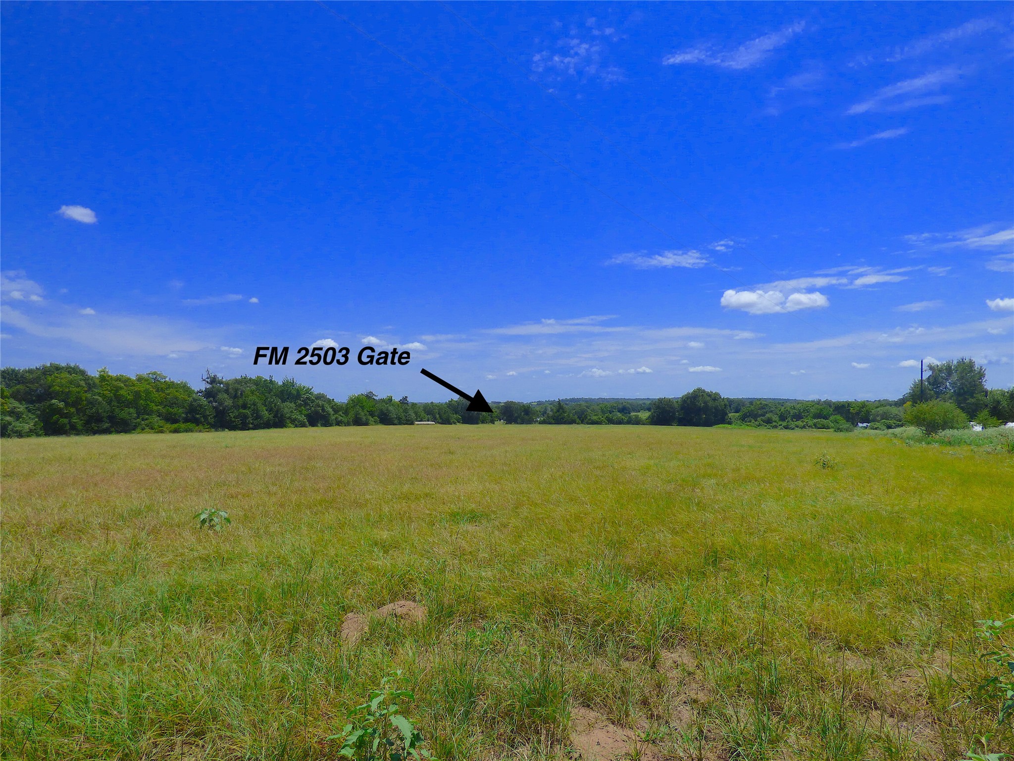 2503 Rd Fayetteville Tx 78940 Road Fayetteville, TX 78940 - Photo 5 of 9 View back to gate.