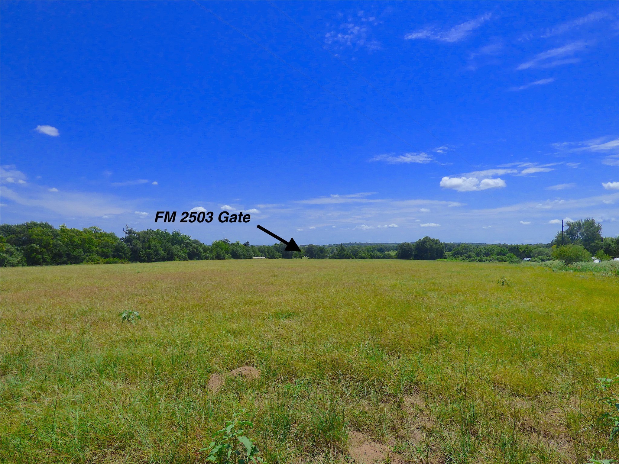 2503 Rd Fayetteville Tx 78940 Road Fayetteville, TX 78940 - Photo 5 of 9 a view of a city