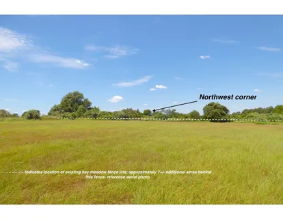 a view of an ocean and beach
