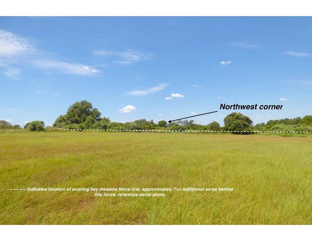 a view of an ocean and beach