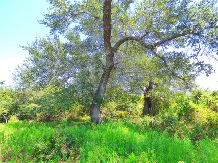 $549,000 | 2503 Rd Fayetteville Tx 78940 Road, Fayetteville, TX 78940