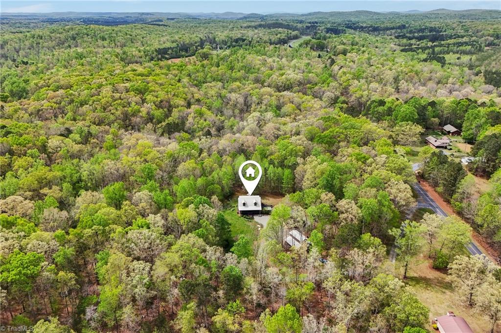 6875 Pisgah Covered Bridge Road Asheboro, NC 27205 - Photo 38 of 41 Aieral view