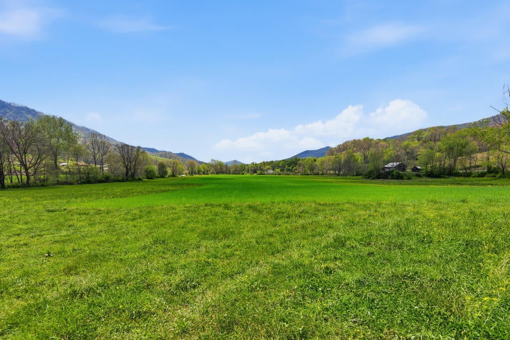 4020 Freestone Valley Road Tannersville, VA 24377 - Photo 6 of 109 Gallery Image 6