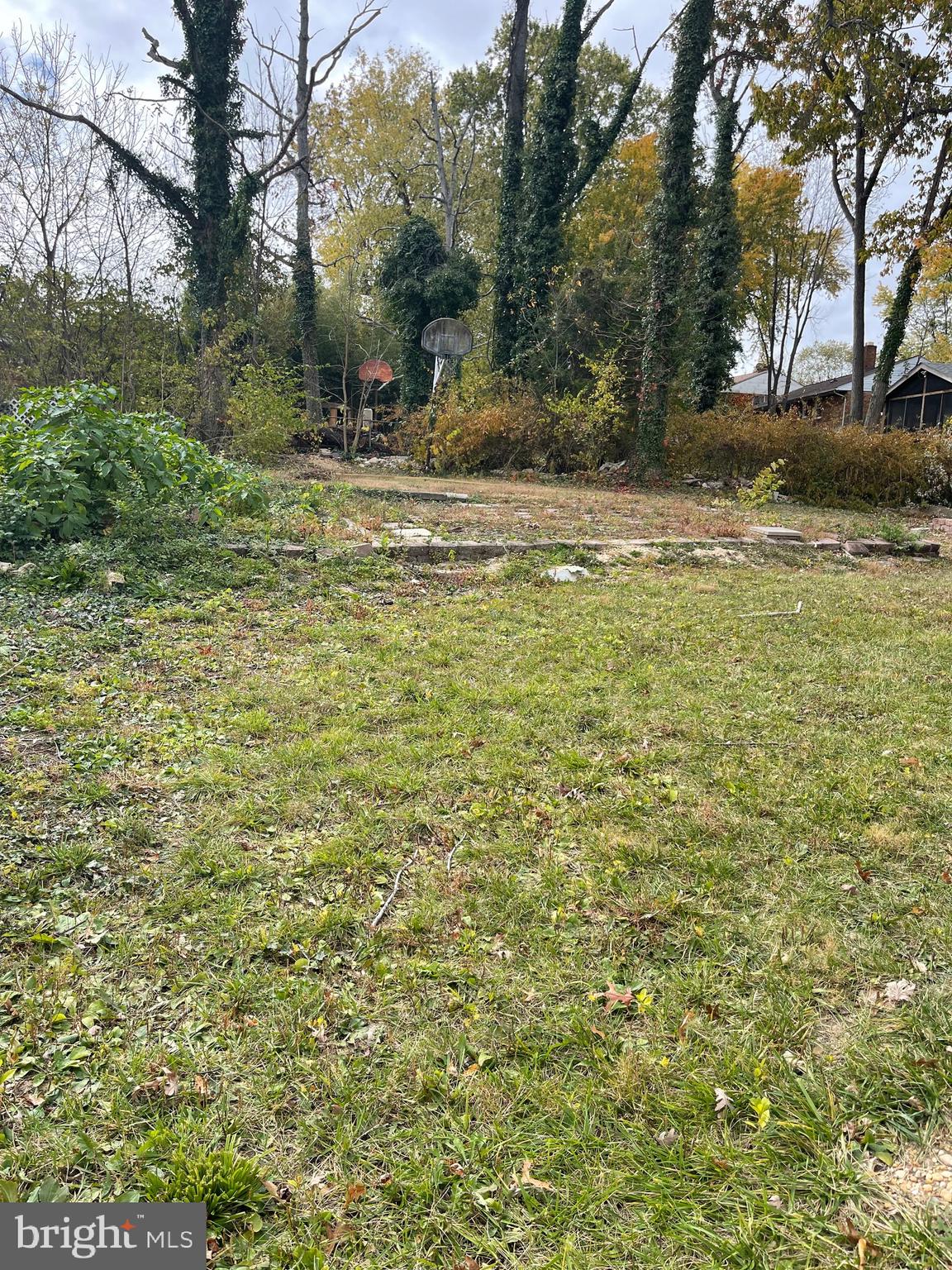 3207 # Road Beltsville, MD 20705 - Photo 2 of 25 a view of a yard with plants and trees