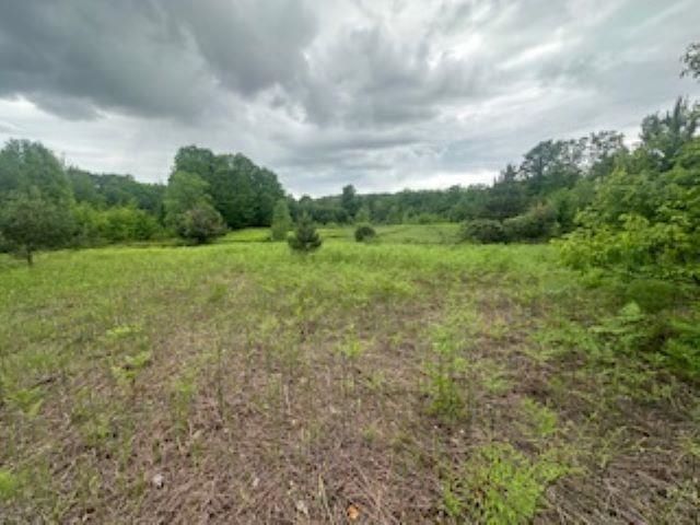 V/l McKinney Road Central Lake, MI 49622 - Photo 12 of 29