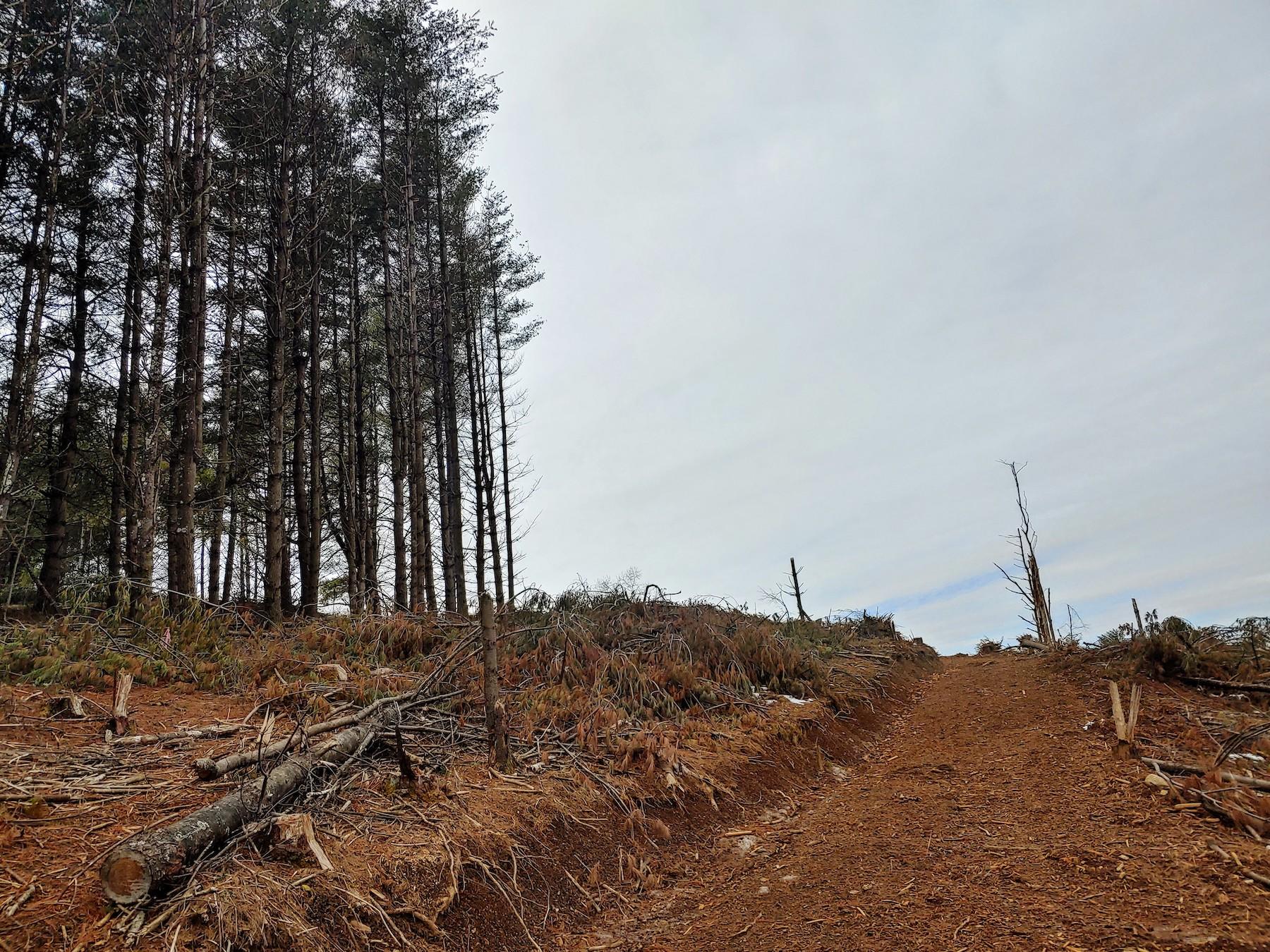 0 Spangler Mill Road Northeast Floyd, VA 24091 - Photo 2 of 14 0217211216a_HDR