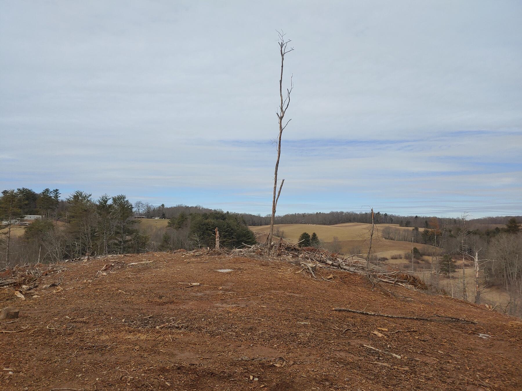 0 Spangler Mill Road Northeast Floyd, VA 24091 - Photo 3 of 14 0217211217a