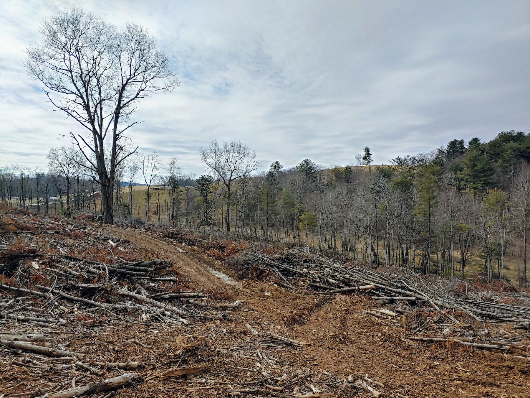 0 Spangler Mill Road Northeast Floyd, VA 24091 - Photo 4 of 14 0217211218_HDR
