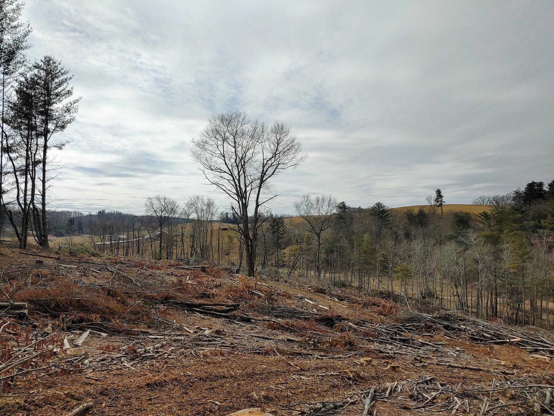 0 Spangler Mill Road Northeast Floyd, VA 24091 - Photo 5 of 14 0217211218