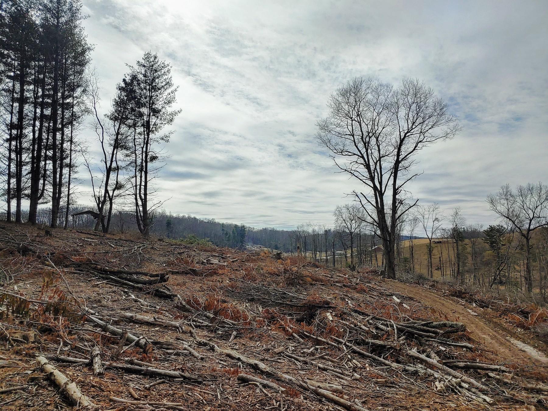 0 Spangler Mill Road Northeast Floyd, VA 24091 - Photo 6 of 14 0217211218a_HDR
