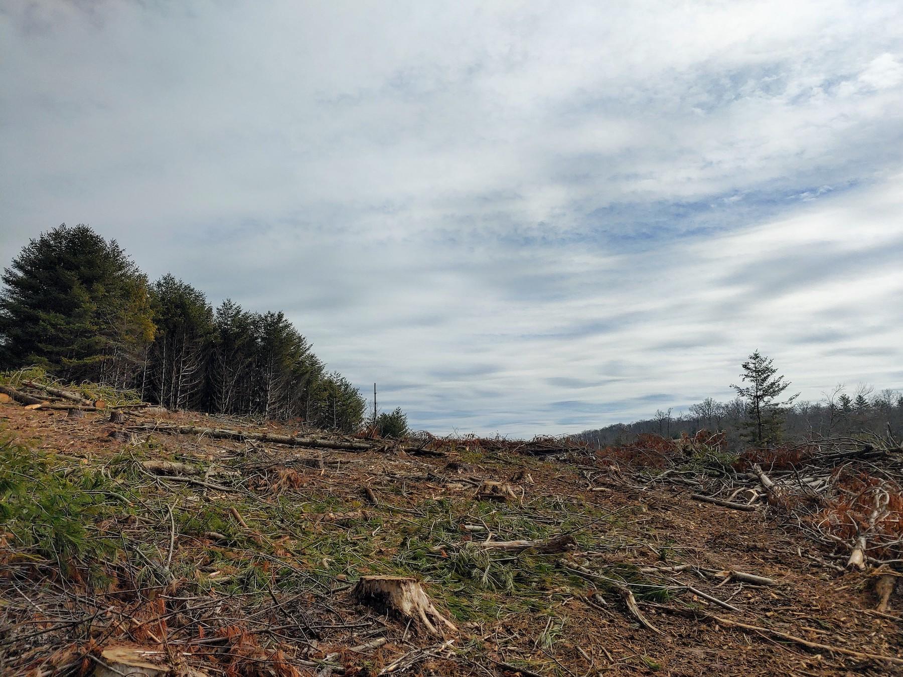 0 Spangler Mill Road Northeast Floyd, VA 24091 - Photo 8 of 14 0217211220