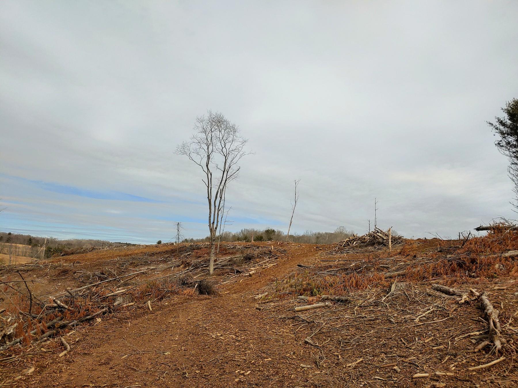 0 Spangler Mill Road Northeast Floyd, VA 24091 - Photo 10 of 14 0217211221a