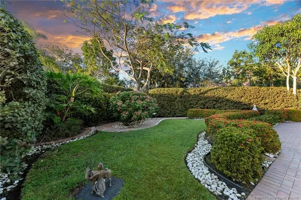 a view of a garden with a tree