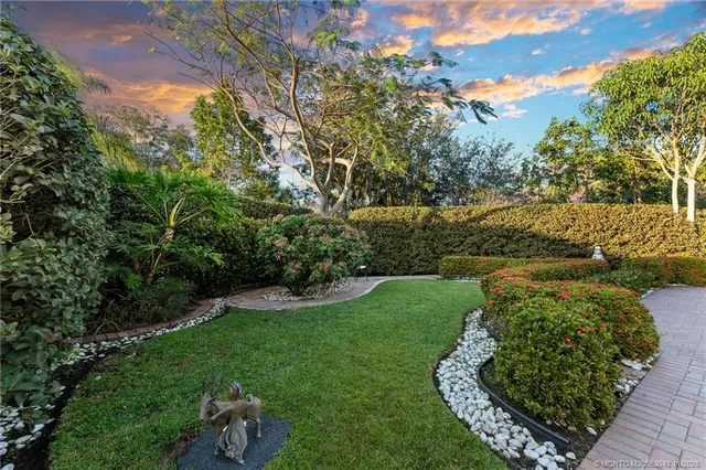 a view of a garden with a tree