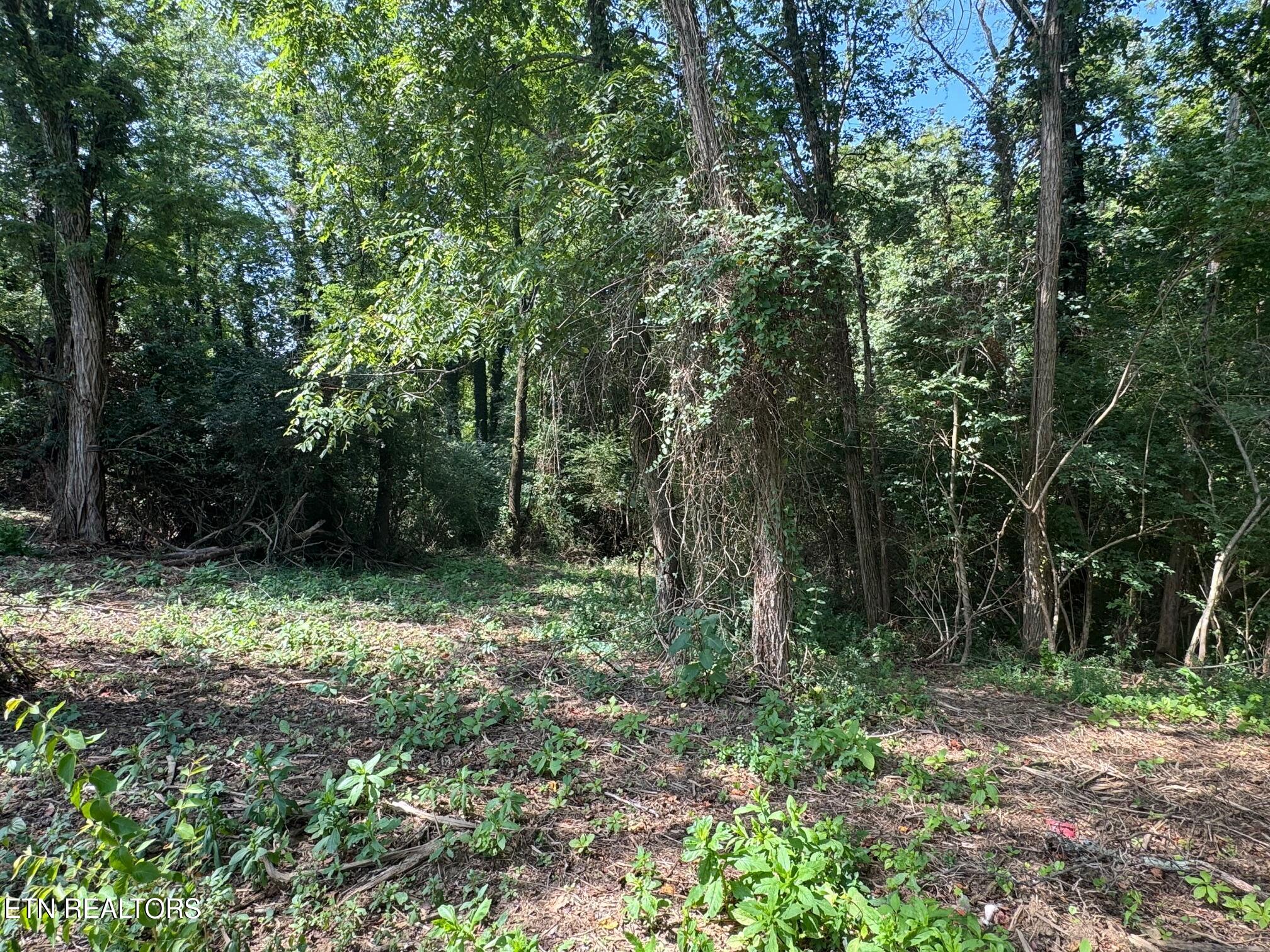 Old Wolf River Road Jamestown, TN 38556 - Photo 3 of 4 beaty lot 3 2