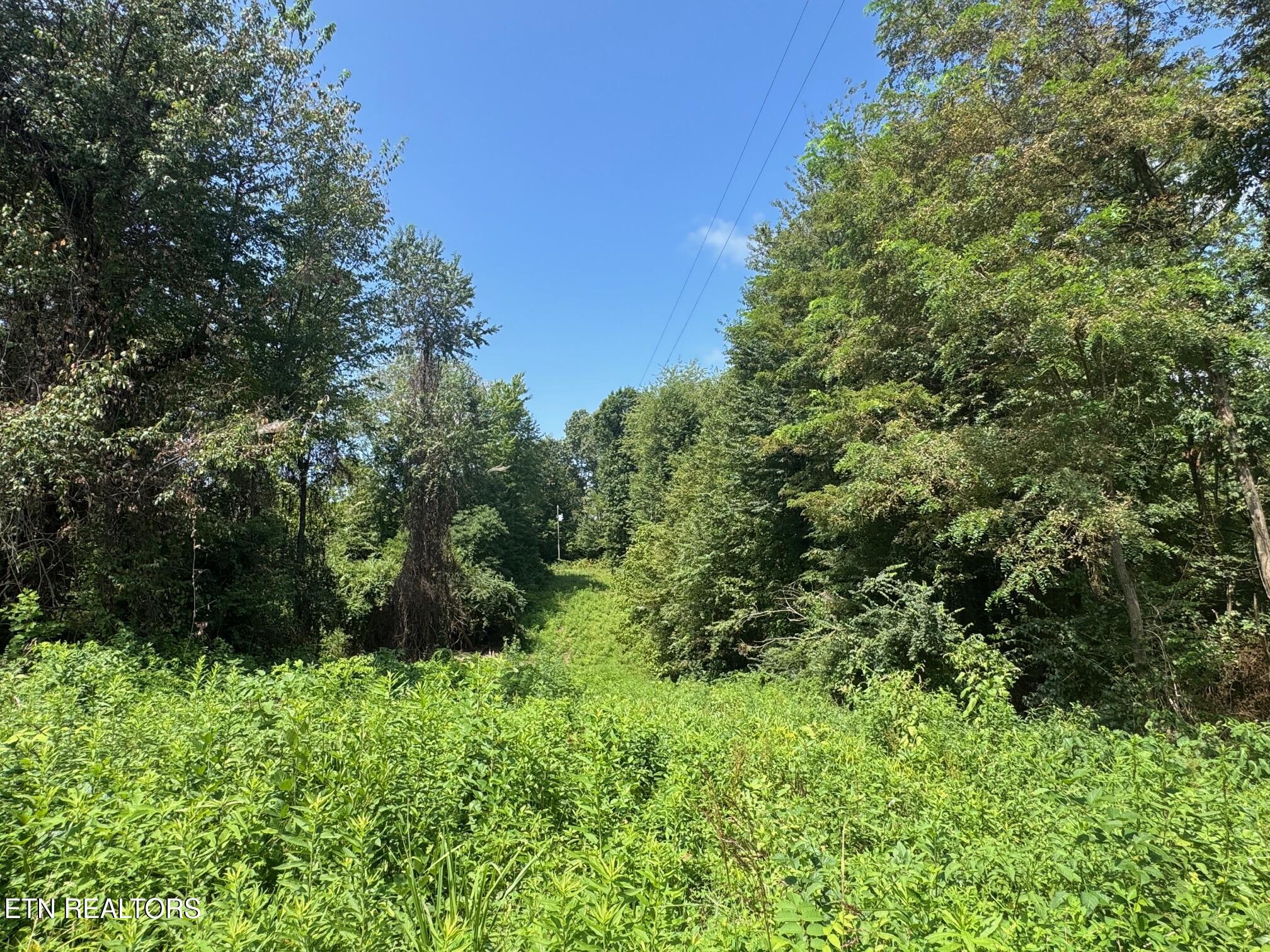 Old Wolf River Road Jamestown, TN 38556 - Photo 4 of 4 beaty lot 3 3