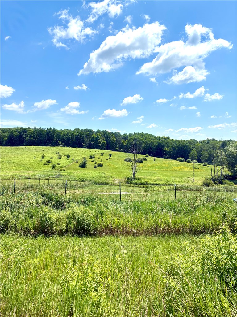 4758 Tucker Road Thurston, NY 14821 - Photo 2 of 42